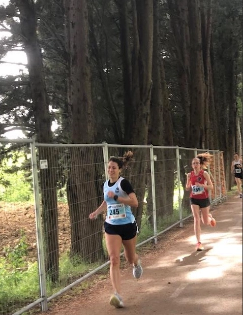 immagine di sfondo 3