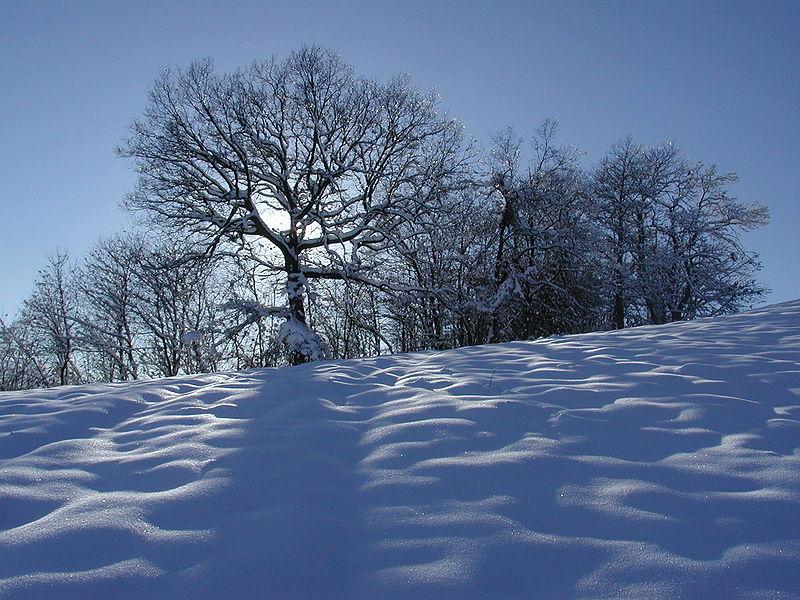 Neve, oltre 50 centimetri all’Abetone. Fiocchi bianchi anche su Amiata e Pratomagno