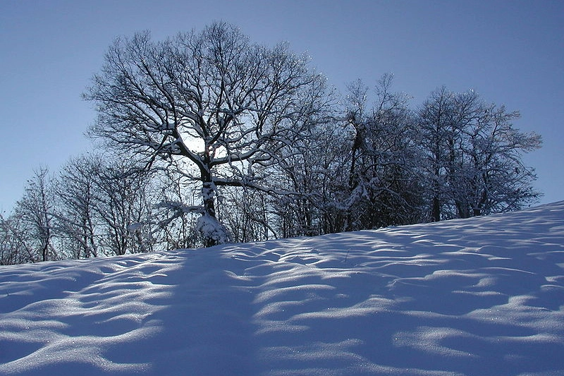 Neve in Toscana, oltre 50 centimetri all'Abetone