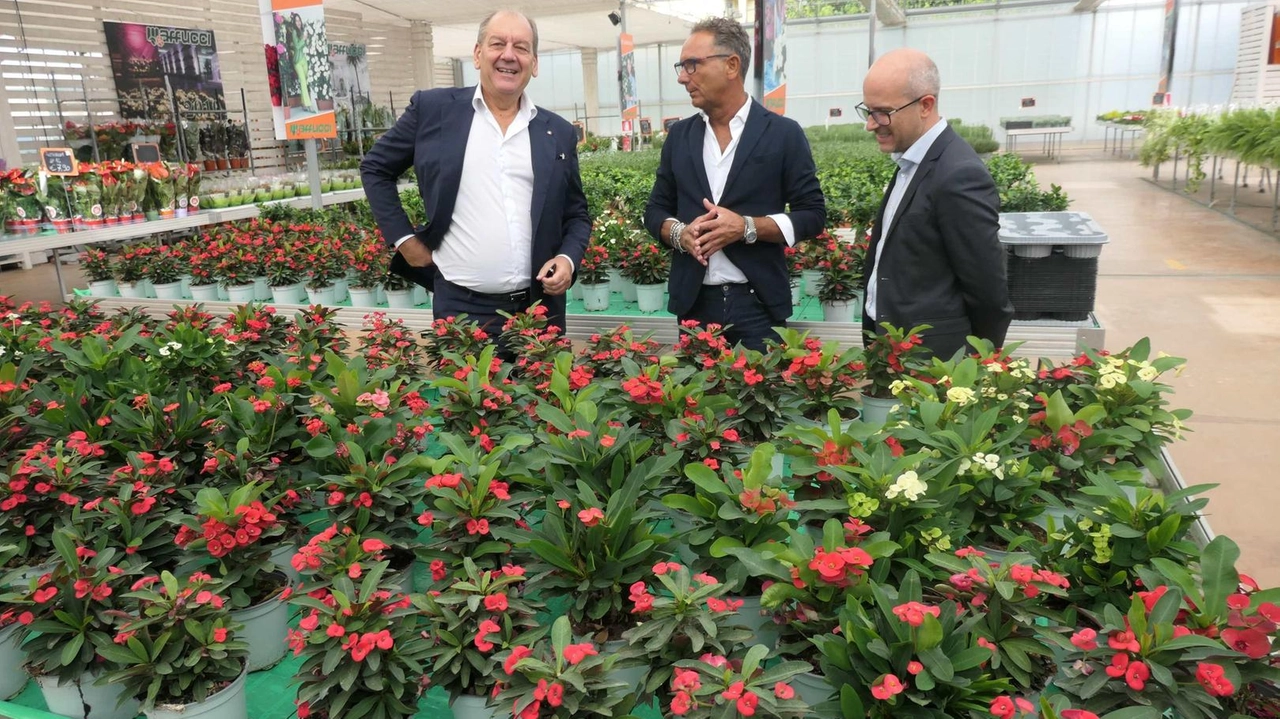 Il sottosegretario all’Agricoltura La Pietra in visita all’azienda Maffucci Il sottosegretario all’Agricoltura La Pietra in visita all’azienda Maffucci