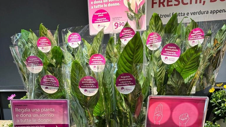 In occasione dell’8 marzo Etruria Retail si conferma in prima linea nella lotta contro la violenza sulle donne. Dal 27... In occasione dell’8 marzo Etruria Retail si conferma in prima linea nella lotta contro la violenza sulle donne. Dal 27...