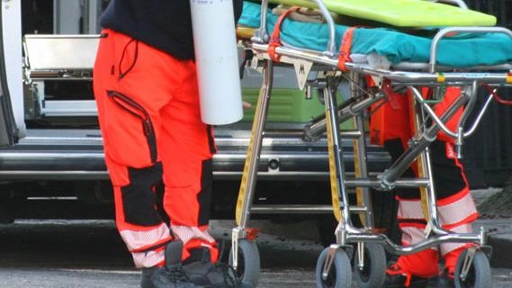 Sono tante, troppe, le tragedie sfiorate a Firenze che riguardano la caduta di rami. A giugno due grossi tronchi che... Sono tante, troppe, le tragedie sfiorate a Firenze che riguardano la caduta di rami. A giugno due grossi tronchi che...