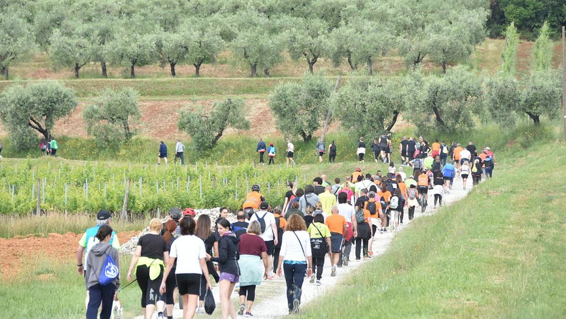 Porcari Corre, grande partecipazione alla 39esima edizione Porcari Corre, grande partecipazione alla 39esima edizione