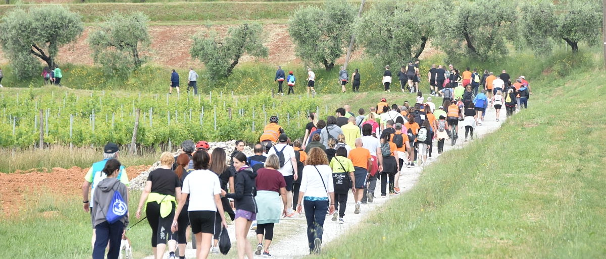 Porcari Corre, grande partecipazione alla 39esima edizione