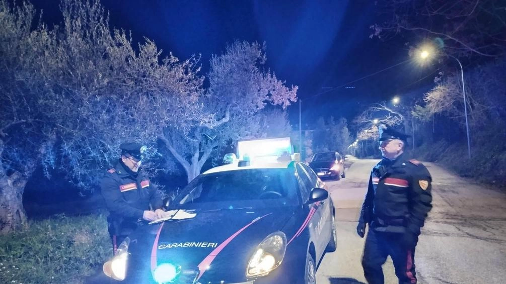 La 25enne è stata arrestata dai carabinieri della stazione di Cenaia che avevano richiesto l’inasprimento della misura cautelare dei domiciliari La 25enne è stata arrestata dai carabinieri della stazione di Cenaia che avevano richiesto l’inasprimento della misura cautelare dei domiciliari