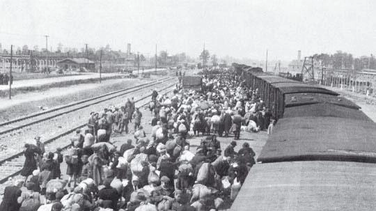 Il piccolo Urbinek nacque e morì nel campo di sterminio di Auschwitz Il piccolo Urbinek nacque e morì nel campo di sterminio di Auschwitz