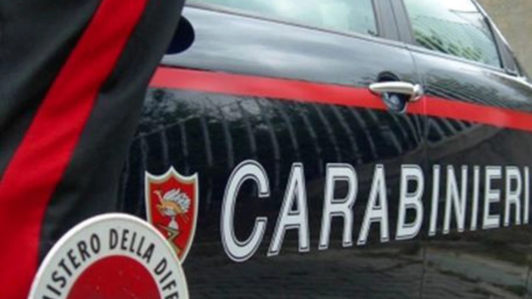 Carabinieri (foto di repertorio Ansa) Carabinieri (foto di repertorio Ansa)