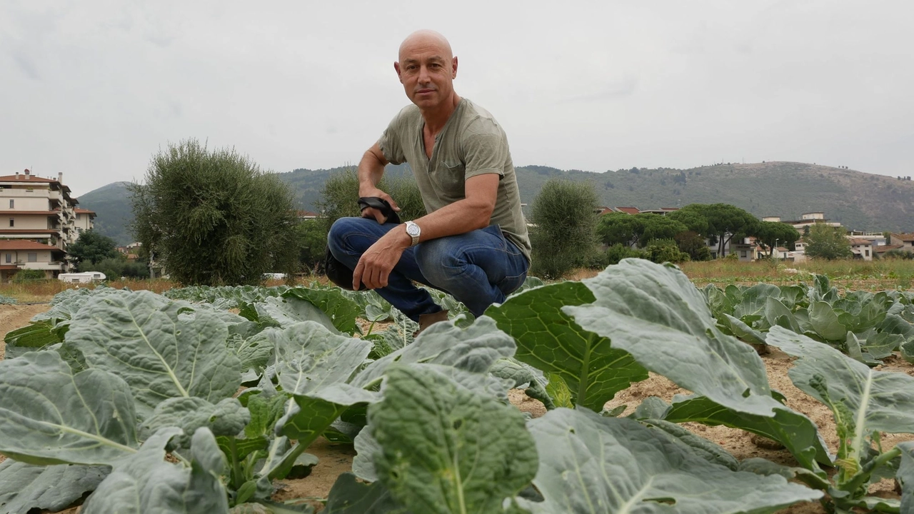 Paolo Colzi, agricoltore in prima linea nei progetti bio e presidente di GranPrato Paolo Colzi, agricoltore in prima linea nei progetti bio e presidente di GranPrato