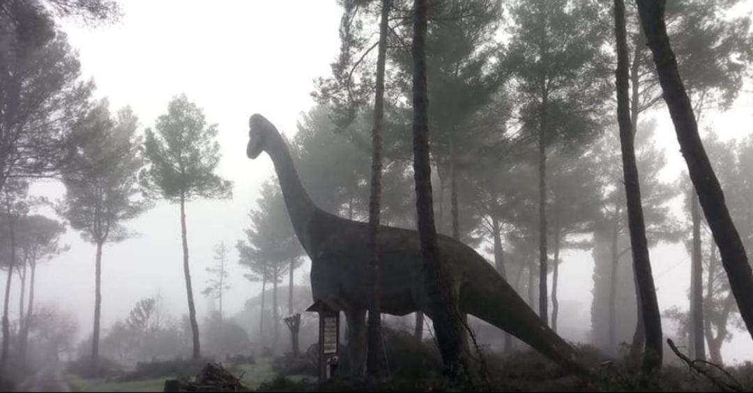 11 giugno, Jurassic Park: in Toscana esiste davvero ed è nato prima del film 11 giugno, Jurassic Park: in Toscana esiste davvero ed è nato prima del film