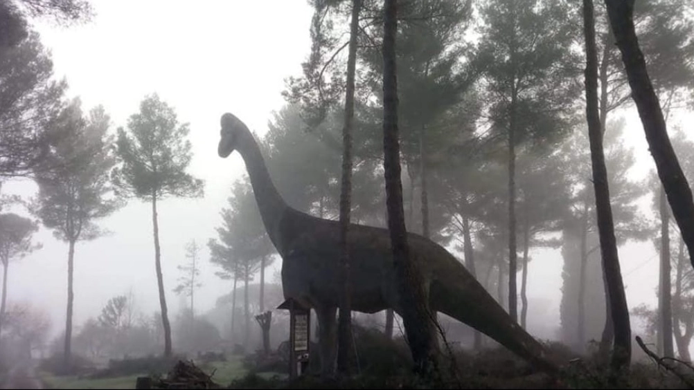 Dinosauro (foto di repertorio) Dinosauro (foto di repertorio)