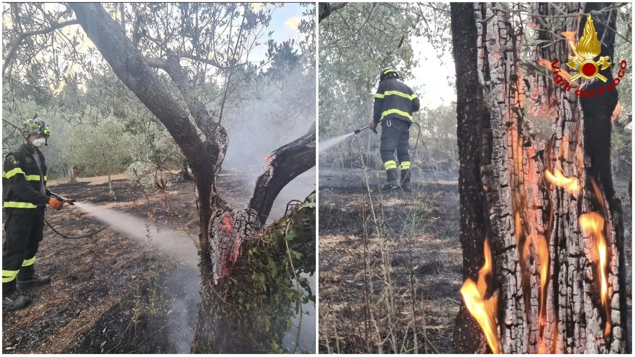 Due fasi dello spegnimento dell'incendio che si è sviluppato a Sesto Fiorentino, in località Serpiolle Due fasi dello spegnimento dell'incendio che si è sviluppato a Sesto Fiorentino, in località Serpiolle