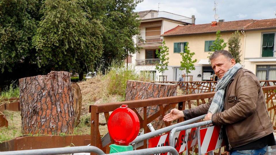 https://www.lanazione.it/image-service/view/acePublic/alias/contentid/MjAwNzE0N2QtMTU0My00/0/pino-secolare-crollato-ai-giardini-dopo-quattro-mesi-incuria-e-degrado.jpeg?f=16:9&w=1200&h=630