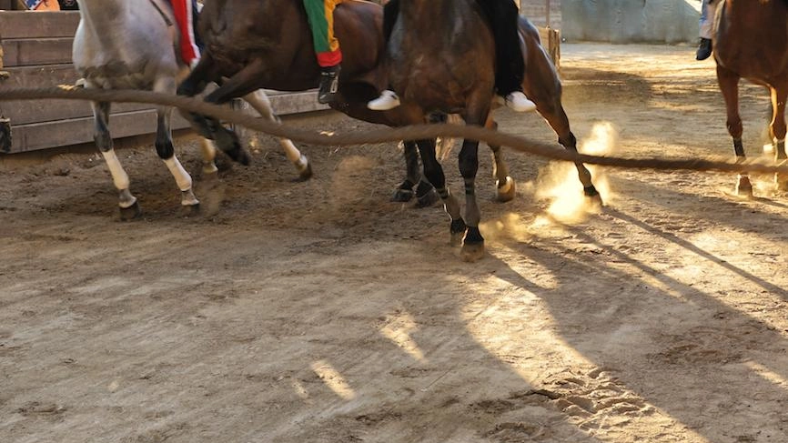 Palio, parte il conto alla rovescia Palio, parte il conto alla rovescia