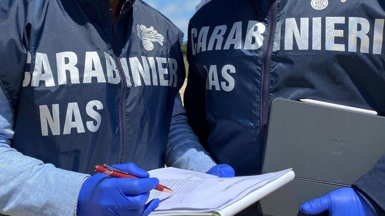 escrementi di roditori e irregolarit224 nei locali chiuso un ristorante cinese nel pisano