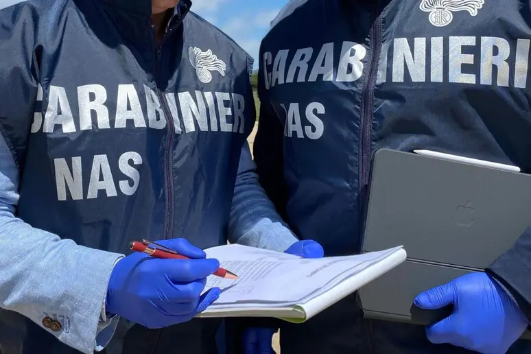 Escrementi di roditori e irregolarità nei locali: chiuso un ristorante cinese nel pisano