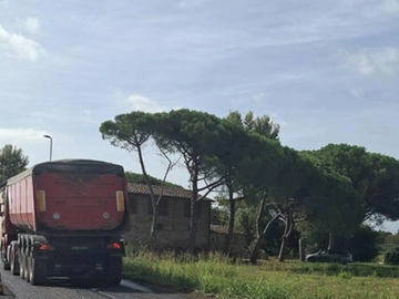 immagine articolo