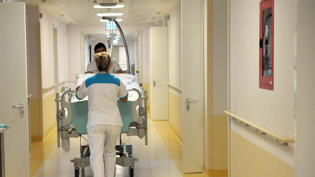 La dottoressa Antonella Rubino era medico dell'Unità funzionale Cure primarie della Valdera (Foto di repertorio) La dottoressa Antonella Rubino era medico dell'Unità funzionale Cure primarie della Valdera (Foto di repertorio)