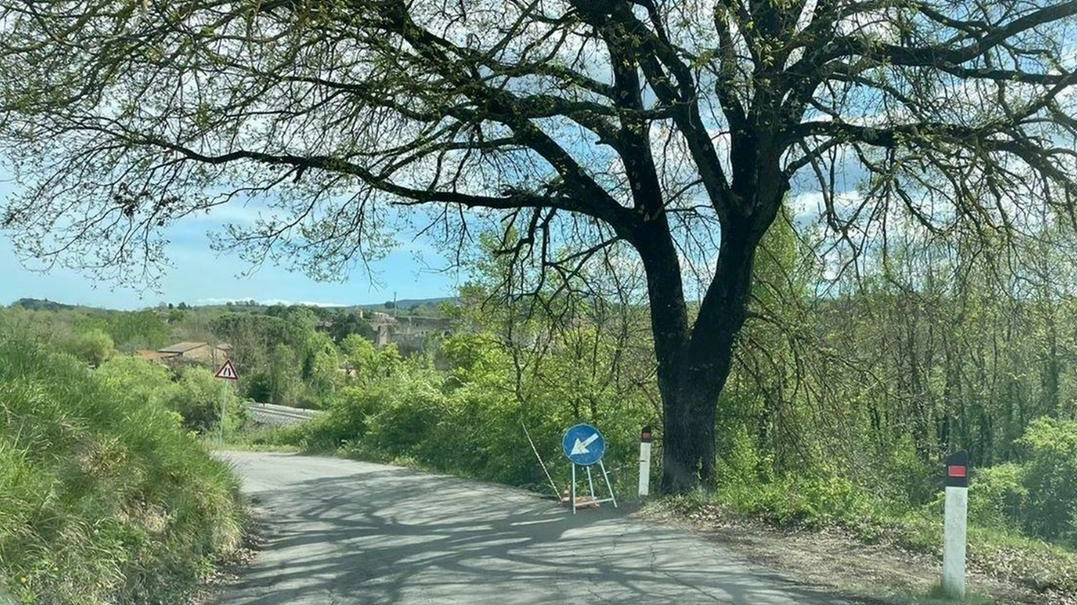 Nel tratto di strada che unisce Bellavista con la località Lecchi problemi di sicurezza Nel tratto di strada che unisce Bellavista con la località Lecchi problemi di sicurezza