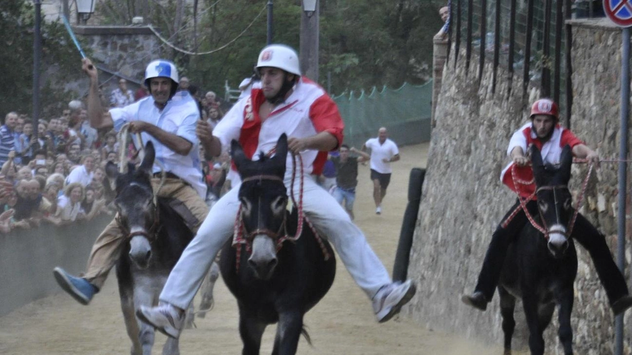 Si apre la settimana del 67° Palio dei Ciuchi a Campagnatico, con eventi culturali e tradizionali fino alla gara finale tra le contrade. Si apre la settimana del 67° Palio dei Ciuchi a Campagnatico, con eventi culturali e tradizionali fino alla gara finale tra le contrade.