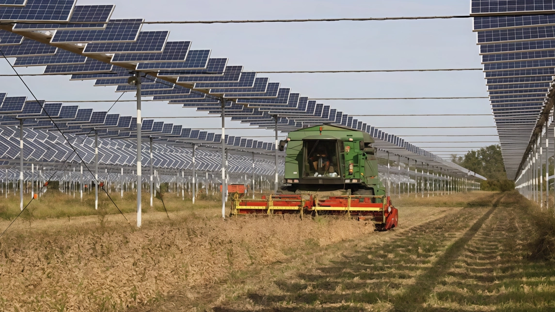 Un impianto di centrale agrivoltaica (foto d’archivio) Il «Gric» è contrario al progetto a. Manciano Un impianto di centrale agrivoltaica (foto d’archivio) Il «Gric» è contrario al progetto a. Manciano