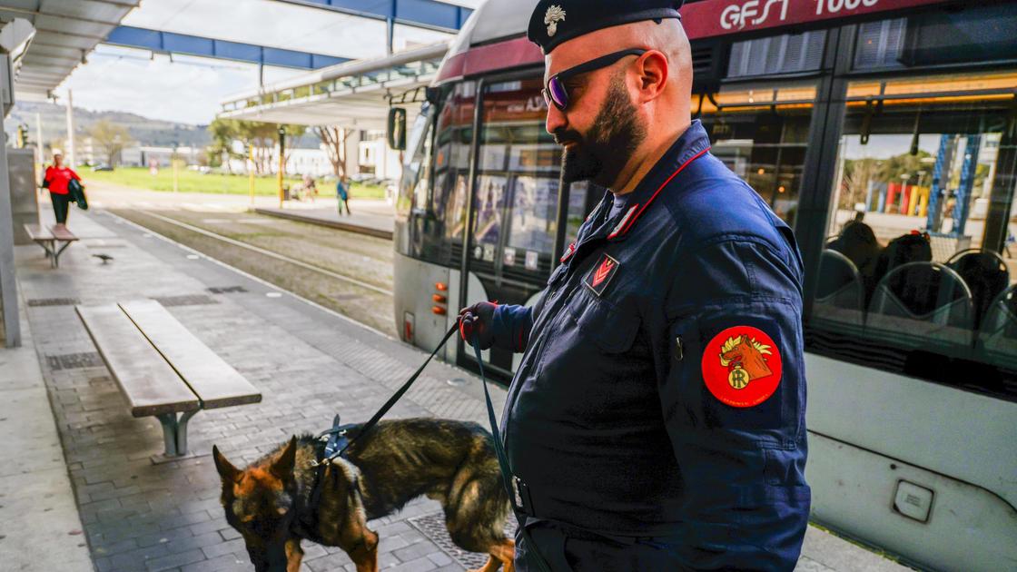 https://www.lanazione.it/image-service/view/acePublic/alias/contentid/MjE2YmVkYjUtM2RkZi00/0/sicurezza-del-territorio-fiaccolata-in-piazza-per-avere-piu-controlli.jpeg?f=16:9&w=1200&h=630