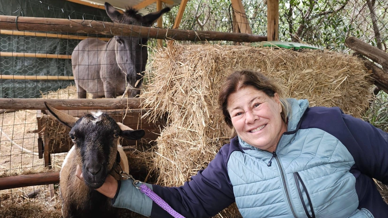 Sabina Giurati con una delle due caprette che sono state trovate sbranate Sabina Giurati con una delle due caprette che sono state trovate sbranate