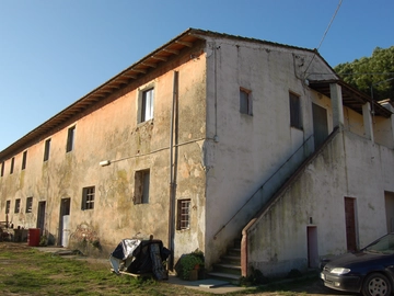 immagine articolo