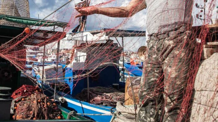 Innovazione, sostenibilità e promozione nel settore della pesca e dell’acquacoltura, questo il tema dell’incontro che si è tenuto ieri mattina... Innovazione, sostenibilità e promozione nel settore della pesca e dell’acquacoltura, questo il tema dell’incontro che si è tenuto ieri mattina...