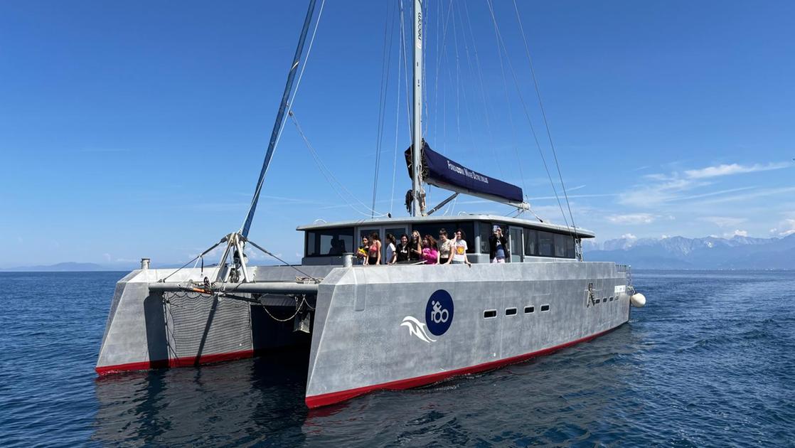 https://www.lanazione.it/image-service/view/acePublic/alias/contentid/MjFmYWYxYjAtZGZlYy00/0/il-catamarano-eliantio.jpeg?f=16:9&w=1200&h=630