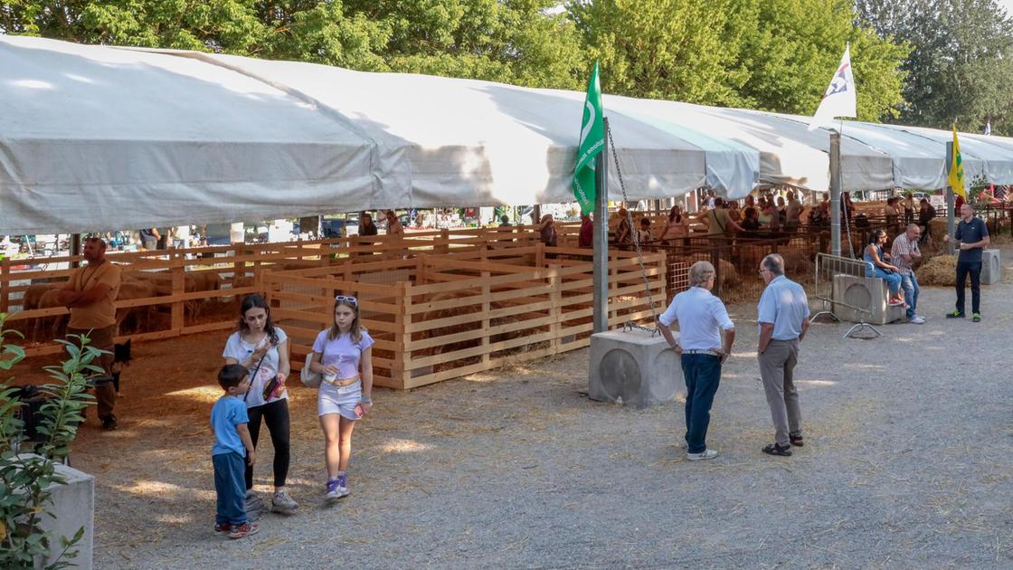 foro boario nuova vita allo spazio urbano