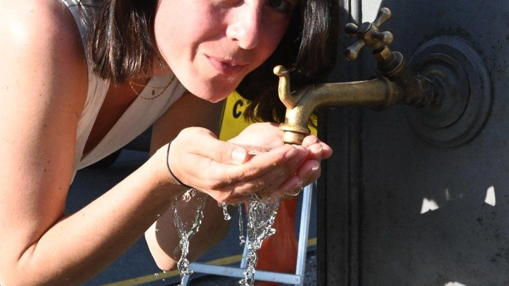 Geal nella top italiana per qualità. L’azienda lucchese dell’acqua riceve il premio di “Arera“