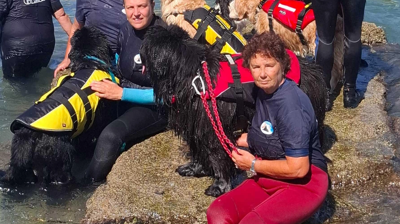 Un gruppo di partecipanti assieme ai cani soccorritori e agli addestratori, nell’ambito dell’iniziativa organizzata dall’associazione “Palmaria sì, Masterplan no“ Un gruppo di partecipanti assieme ai cani soccorritori e agli addestratori, nell’ambito dell’iniziativa organizzata dall’associazione “Palmaria sì, Masterplan no“