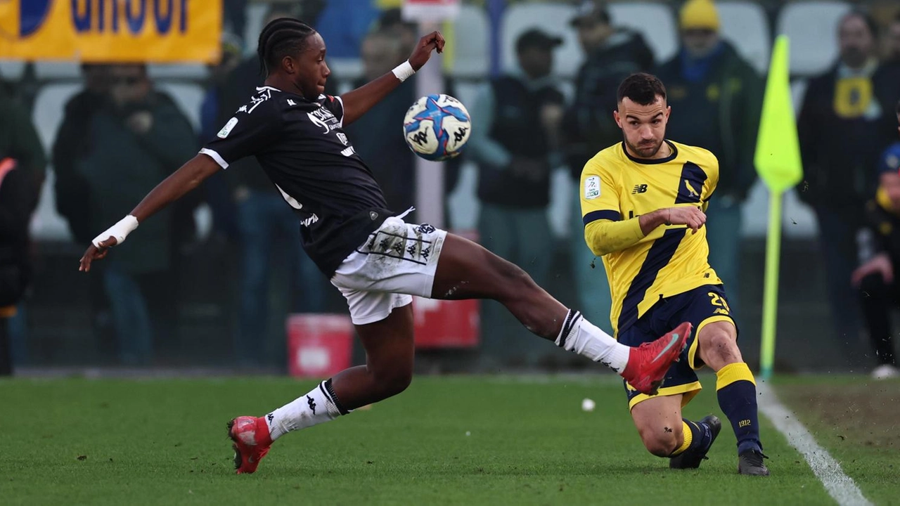 La tifoseria spezzina immortalata nel settore ospiti dello stadio Braglia. A questo giro in trasferta a Modena erano presenti 1.256 supporter bianchi che hanno inscenato la solita coreografia di sciarpe e bandiere La tifoseria spezzina immortalata nel settore ospiti dello stadio Braglia. A questo giro in trasferta a Modena erano presenti 1.256 supporter bianchi che hanno inscenato la solita coreografia di sciarpe e bandiere
