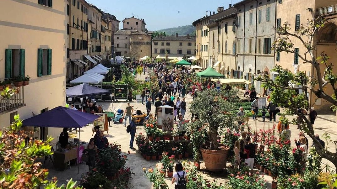 Dal profilo Facebook della Pro Loco, una suggestiva immagine di ’Cetona in fiore’, in programma dal 25 al 27 aprile