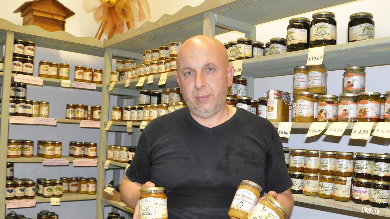 Stefano Rossi ha una produzione che si basa su 1000 alveari e settanta milioni di api Stefano Rossi ha una produzione che si basa su 1000 alveari e settanta milioni di api