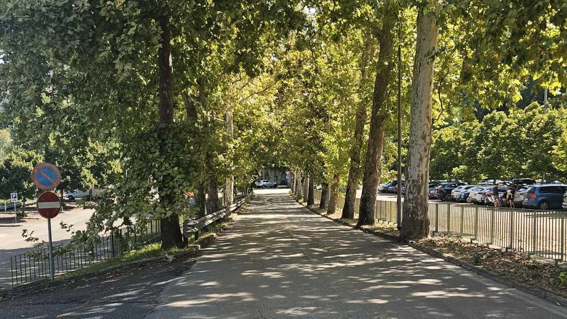 Lavori Enel a Todi: modifiche temporanee alla circolazione per installare nuovi ascensori. Chiuso parcheggio Porta Orvietana dal 19 al 22 agosto. Viabilità regolata secondo ordinanza. Impatto gestito per minimizzare disagi. Lavori Enel a Todi: modifiche temporanee alla circolazione per installare nuovi ascensori. Chiuso parcheggio Porta Orvietana dal 19 al 22 agosto. Viabilità regolata secondo ordinanza. Impatto gestito per minimizzare disagi.