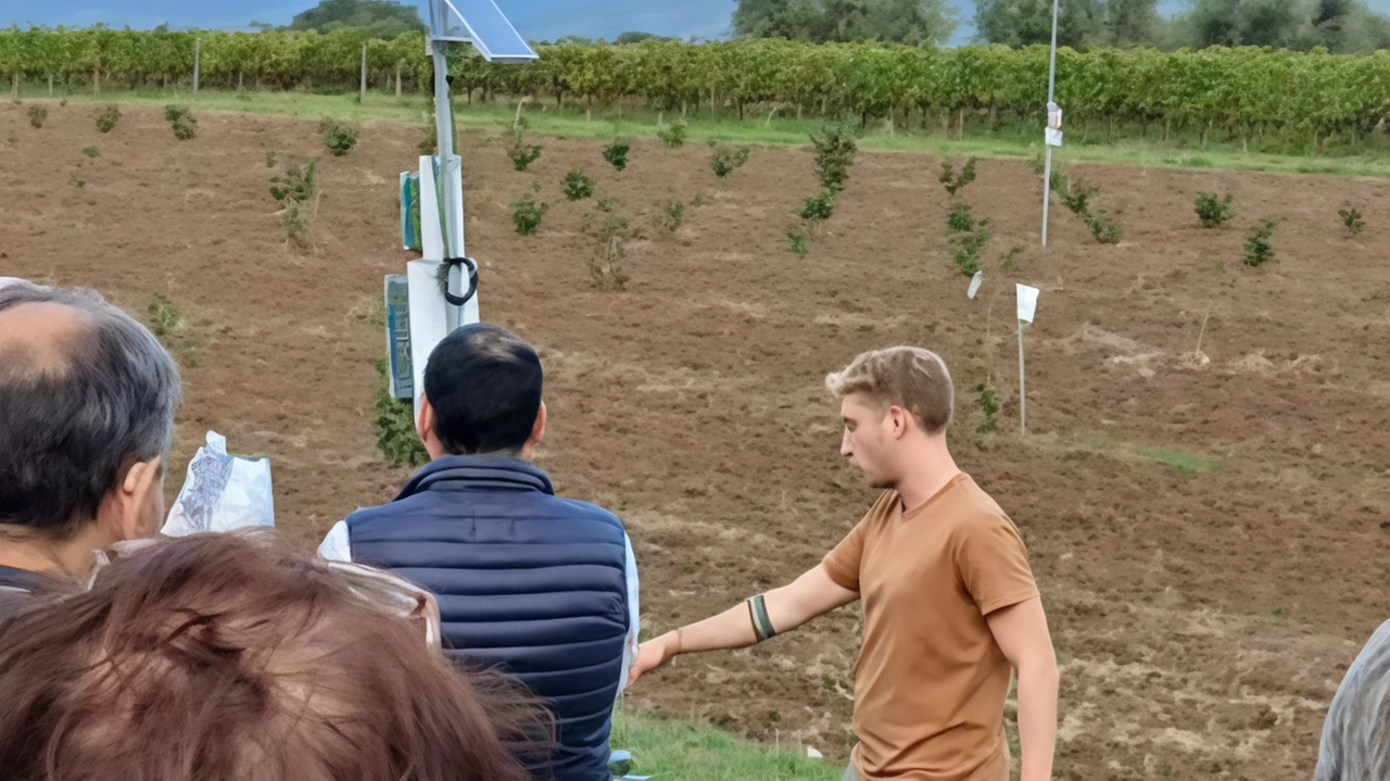 Incontro sull'irrigazione di precisione e concimazione per ottimizzare produzioni agricole. Noccioleto sperimentale a Cortona con impianto moderno. Incontro sull'irrigazione di precisione e concimazione per ottimizzare produzioni agricole. Noccioleto sperimentale a Cortona con impianto moderno.