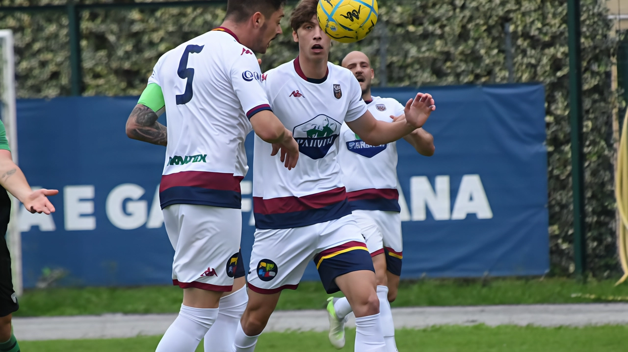 Bel pareggio del Camaiore sul campo della Pro Livorno Bel pareggio del Camaiore sul campo della Pro Livorno