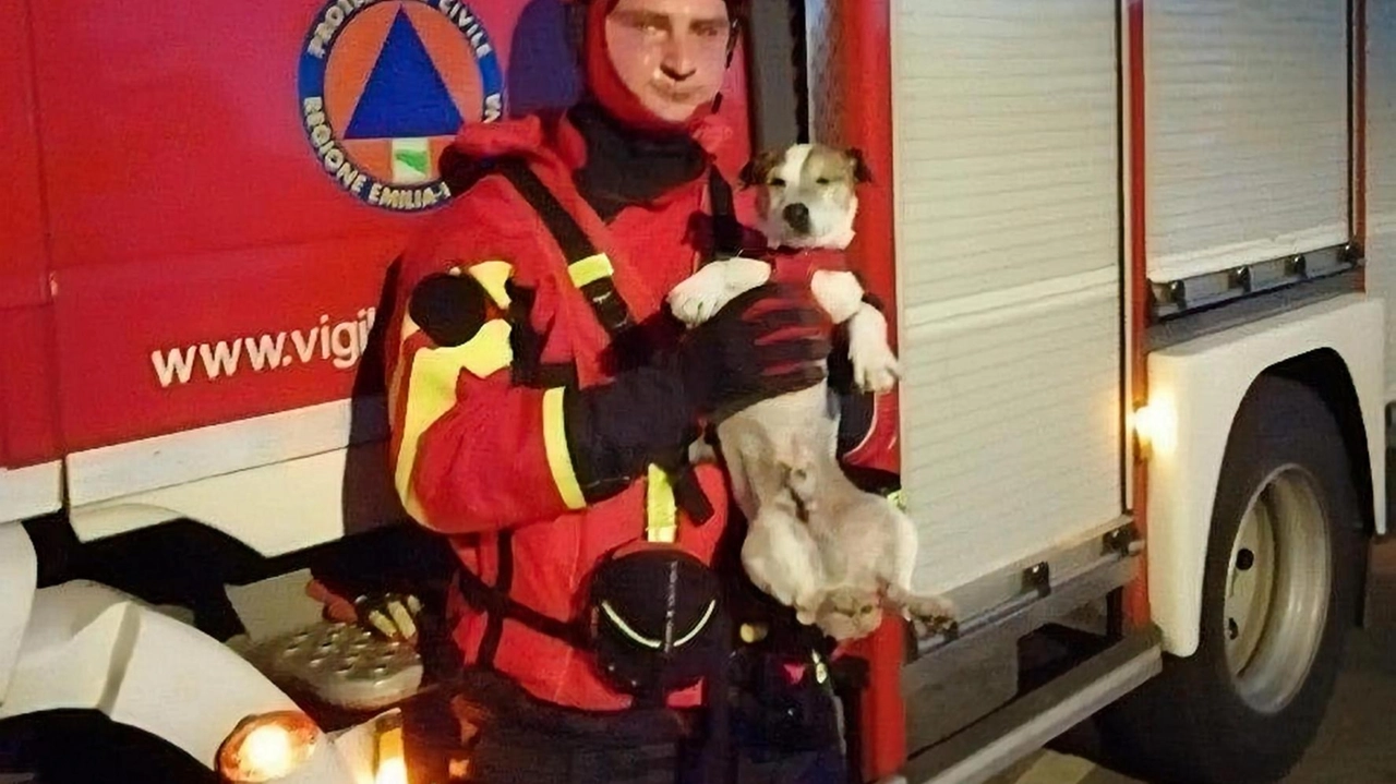 I vigili del fuoco hanno docuto lavorare molte ore prima di avere ragione sul rogo (. foto d’archivio I vigili del fuoco hanno docuto lavorare molte ore prima di avere ragione sul rogo (. foto d’archivio