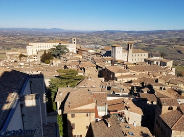 immagine articolo