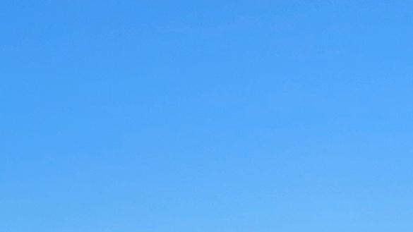 https://www.lanazione.it/image-service/view/acePublic/alias/contentid/MjJkZmViMGUtZjg5My00/0/il-t-red-delle-polemiche-il-comitato-spera-nellautotutela-anche-per-le-sanzioni-accessorie.jpeg?f=16:9&w=1200&h=630