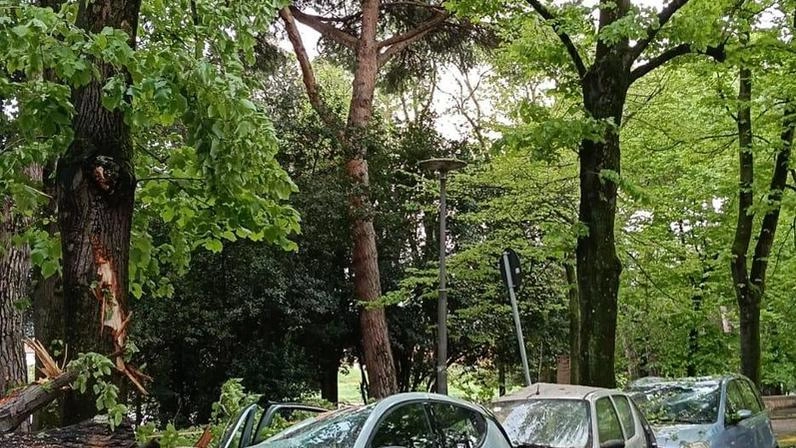 Le auto danneggiate su viale delle Piagge