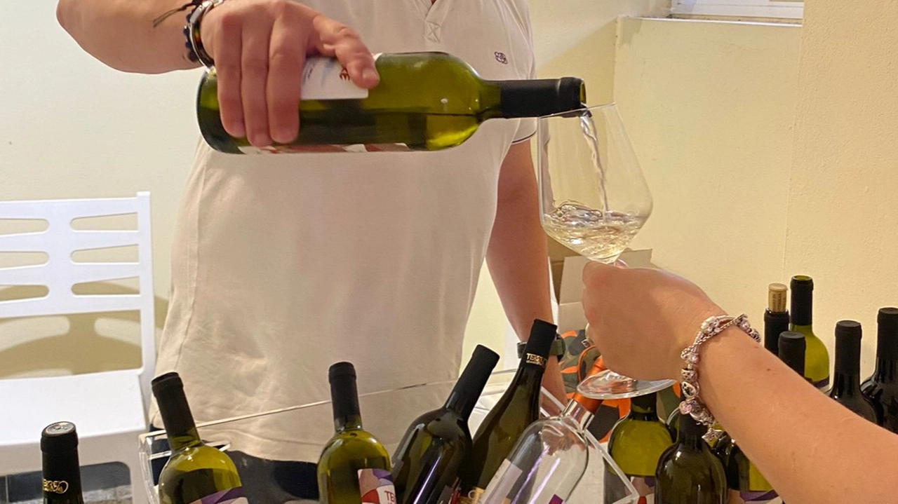 Nel corso della giornata organizzata al centro sociale saranno aperte anche visite guidate per la presentazione oltre che degustazione dei vini che hanno conseguito importanti riconoscimenti (foto di archivio) Nel corso della giornata organizzata al centro sociale saranno aperte anche visite guidate per la presentazione oltre che degustazione dei vini che hanno conseguito importanti riconoscimenti (foto di archivio)