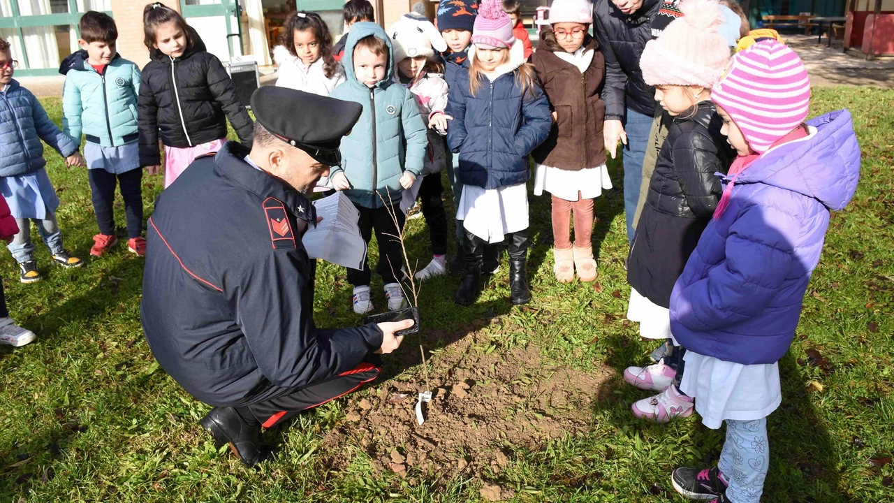 Un Carabiniere aiuta i piccoli alunni di Città di Castello nelle iniziative per la Giornata nazionale degli alberi Un Carabiniere aiuta i piccoli alunni di Città di Castello nelle iniziative per la Giornata nazionale degli alberi