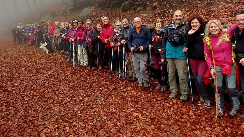 Foto di gruppo di una delle tante passeggiate dell’anno scorso. Sulla pagina Fb Passeggiate fra storia e natura gli aggiornamenti sul programma e le modalità di prenotazione Foto di gruppo di una delle tante passeggiate dell’anno scorso. Sulla pagina Fb Passeggiate fra storia e natura gli aggiornamenti sul programma e le modalità di prenotazione