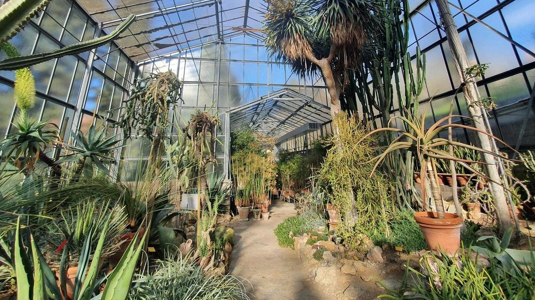 Da oggi a domenica l’Orto Botanico celebra la Giornata del profumo, cercando i fiori e le farfalle di primavera. All’interno...