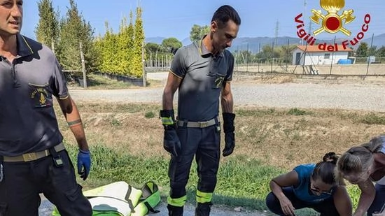 Il recupero dello struzzo da parte dei vigili del fuoco Il recupero dello struzzo da parte dei vigili del fuoco
