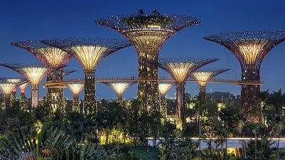 Una suggestiva immagine del Giardino Botanico di Singapore Una suggestiva immagine del Giardino Botanico di Singapore