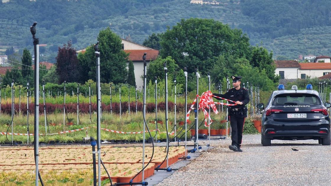https://www.lanazione.it/image-service/view/acePublic/alias/contentid/MjMxZDhmNTktNDJkYi00/0/lagguato-del-cugino-ferito-a-colpi-di-pistola-mentre-lavora-nel-vivaio.jpeg?f=16:9&w=1200&h=630