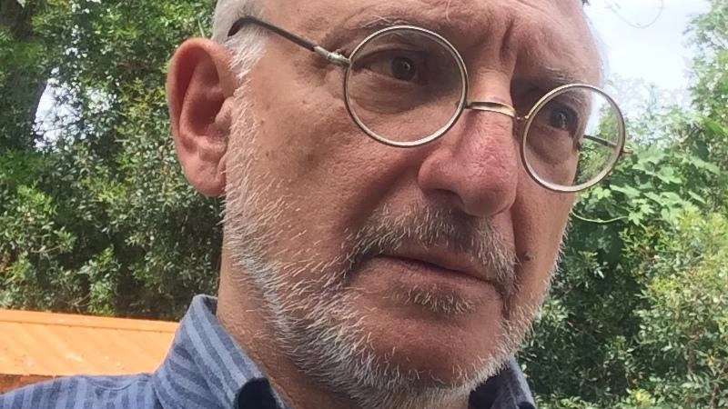 Il biologo Lenzi: "Per i moscerini la sciamatura è già avvenuta, per le distrofie quest’anno è l’anno di ripartenza" Il biologo Lenzi: "Per i moscerini la sciamatura è già avvenuta, per le distrofie quest’anno è l’anno di ripartenza"